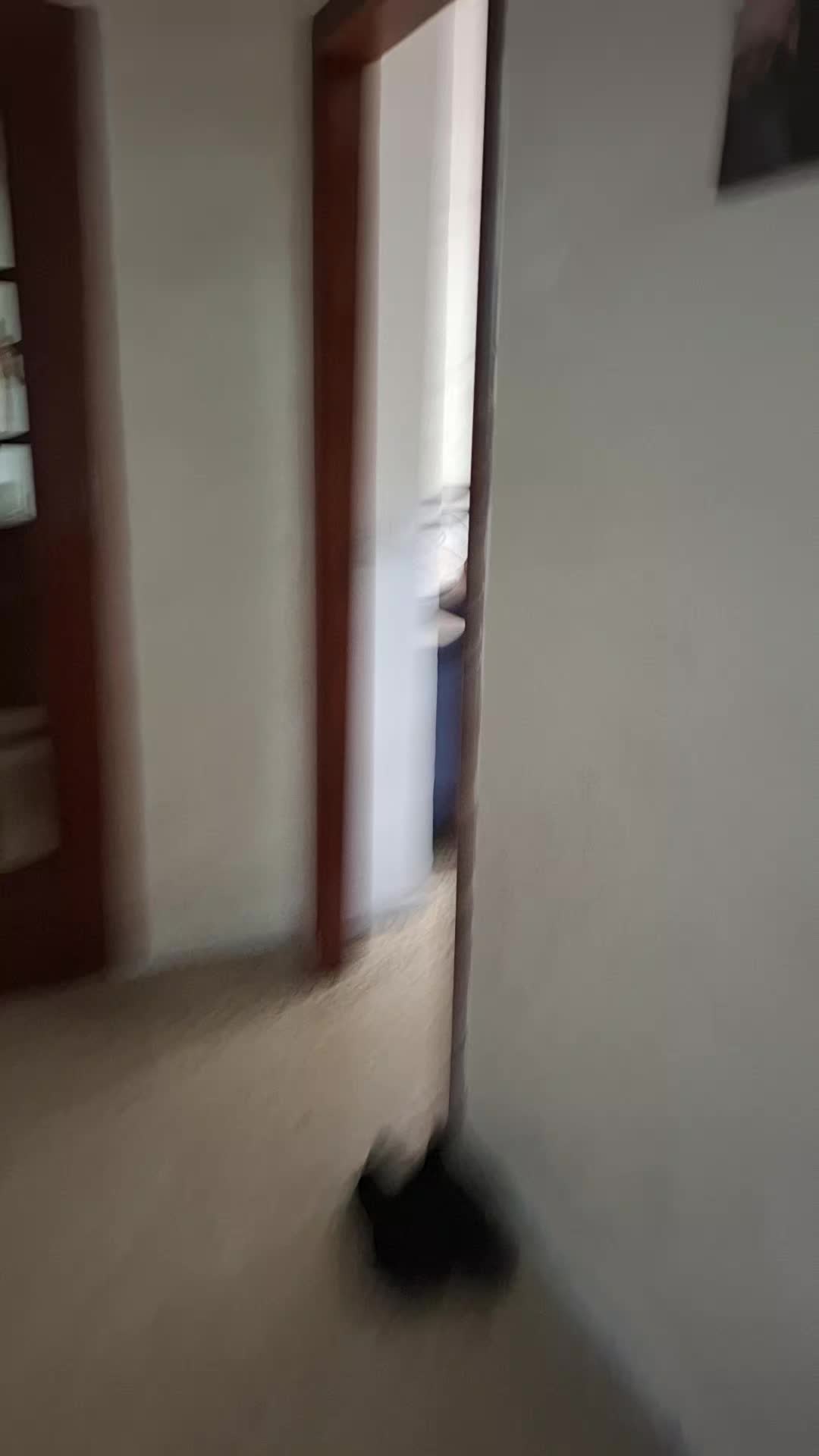 @Sebastiano e melana