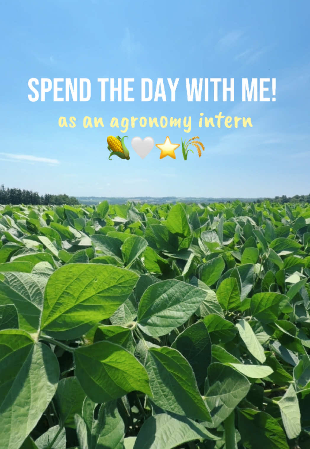 @JENNA 🌽