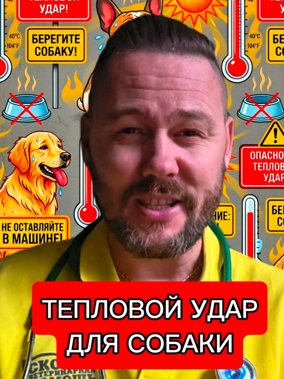 @slavrus_vet