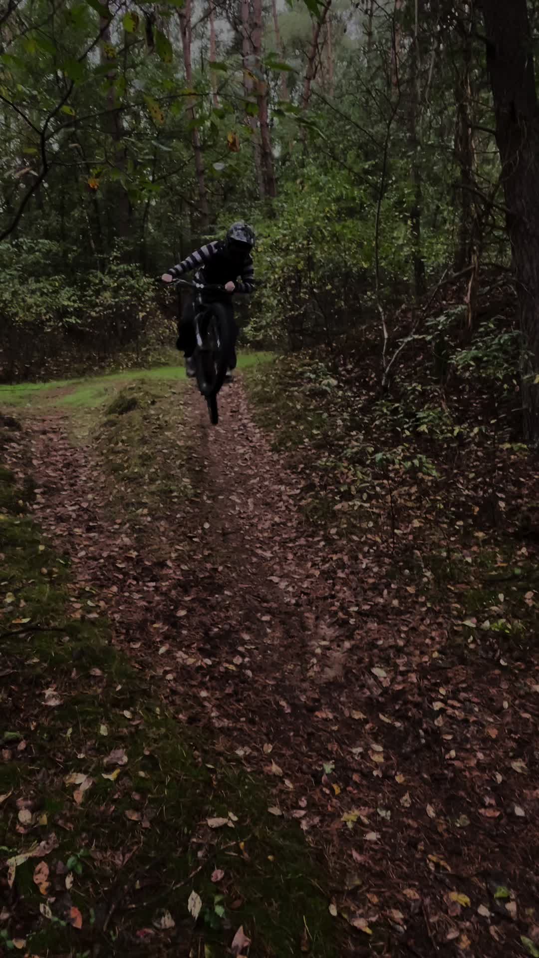 @phil.akkermann