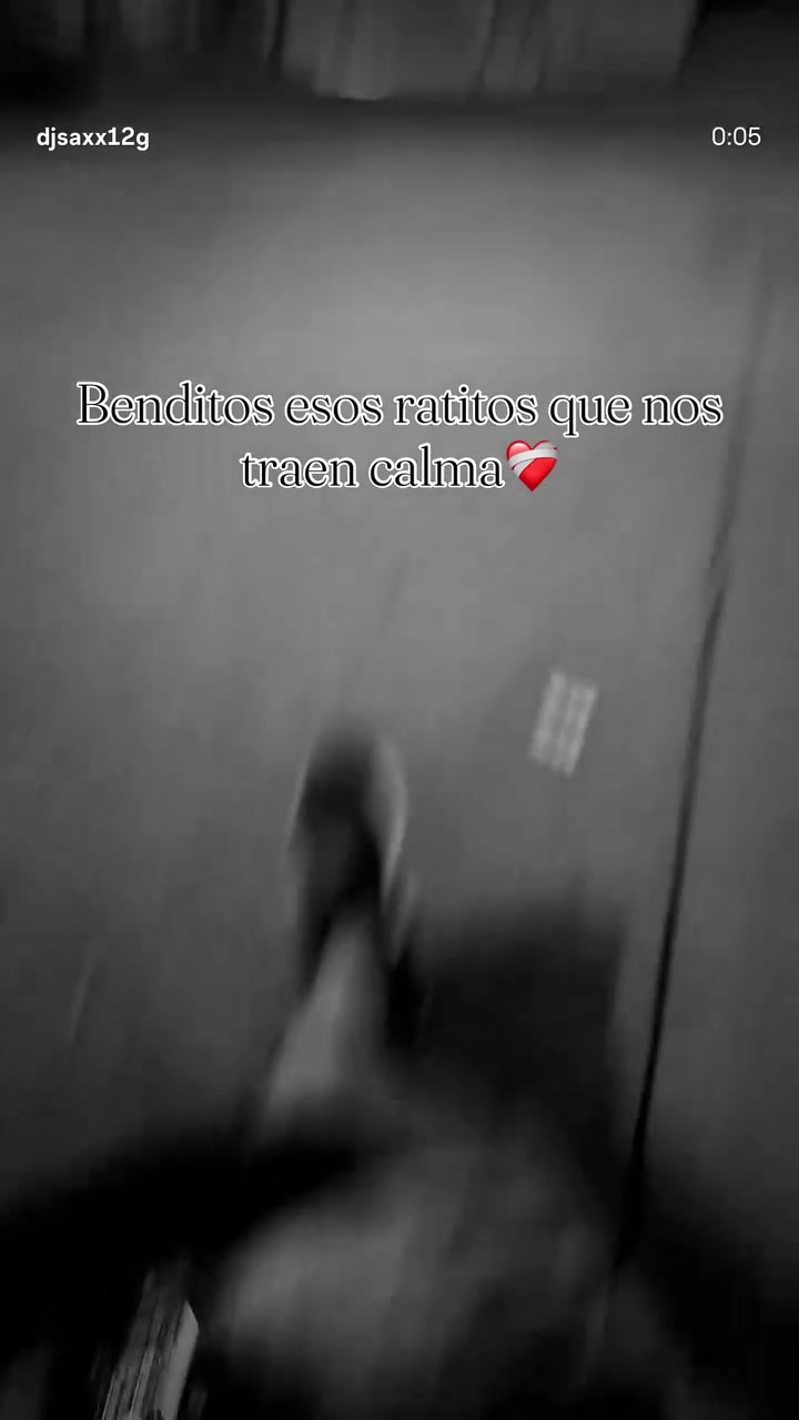 @𝐷𝐽 𝑆𝐴𝑋