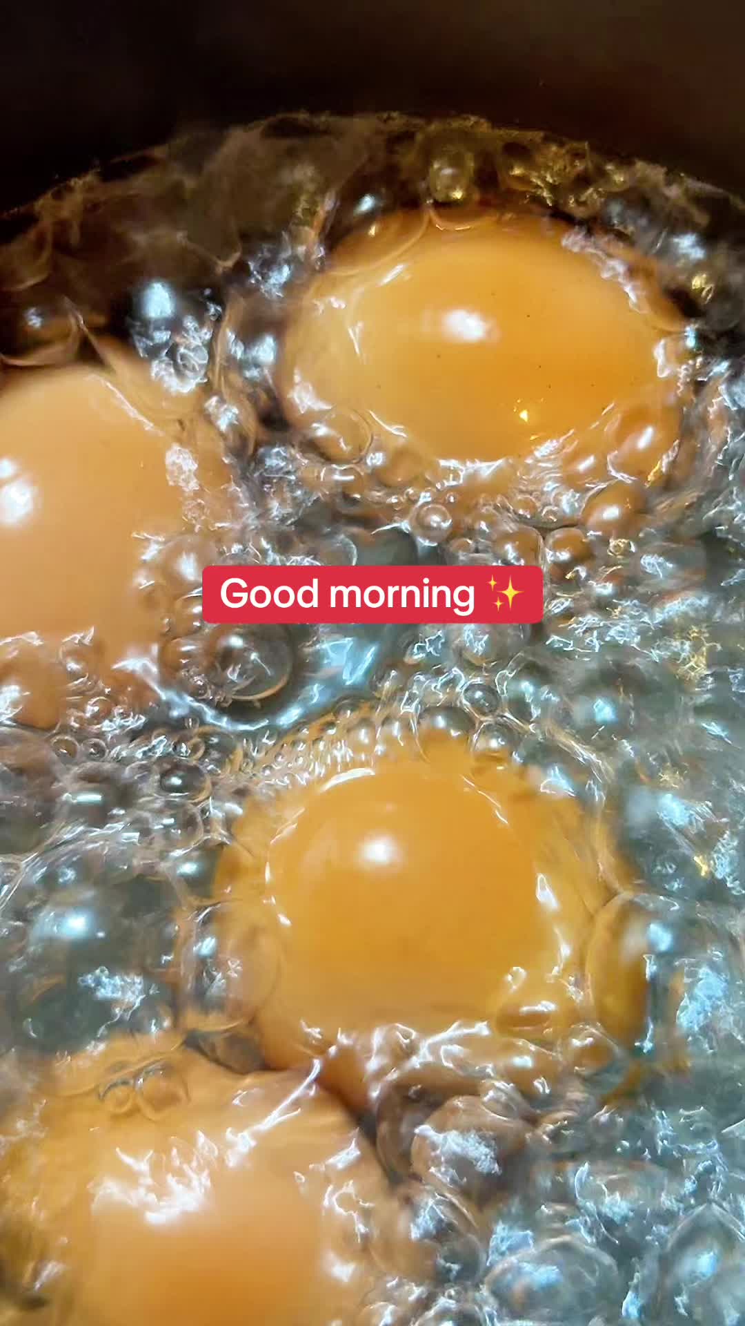 @Moremi ❤️🔥⚜️💎