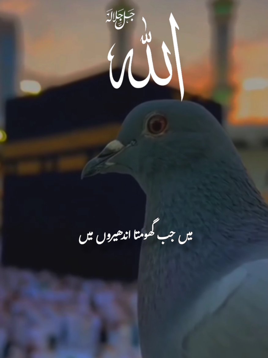 @madina_edit26