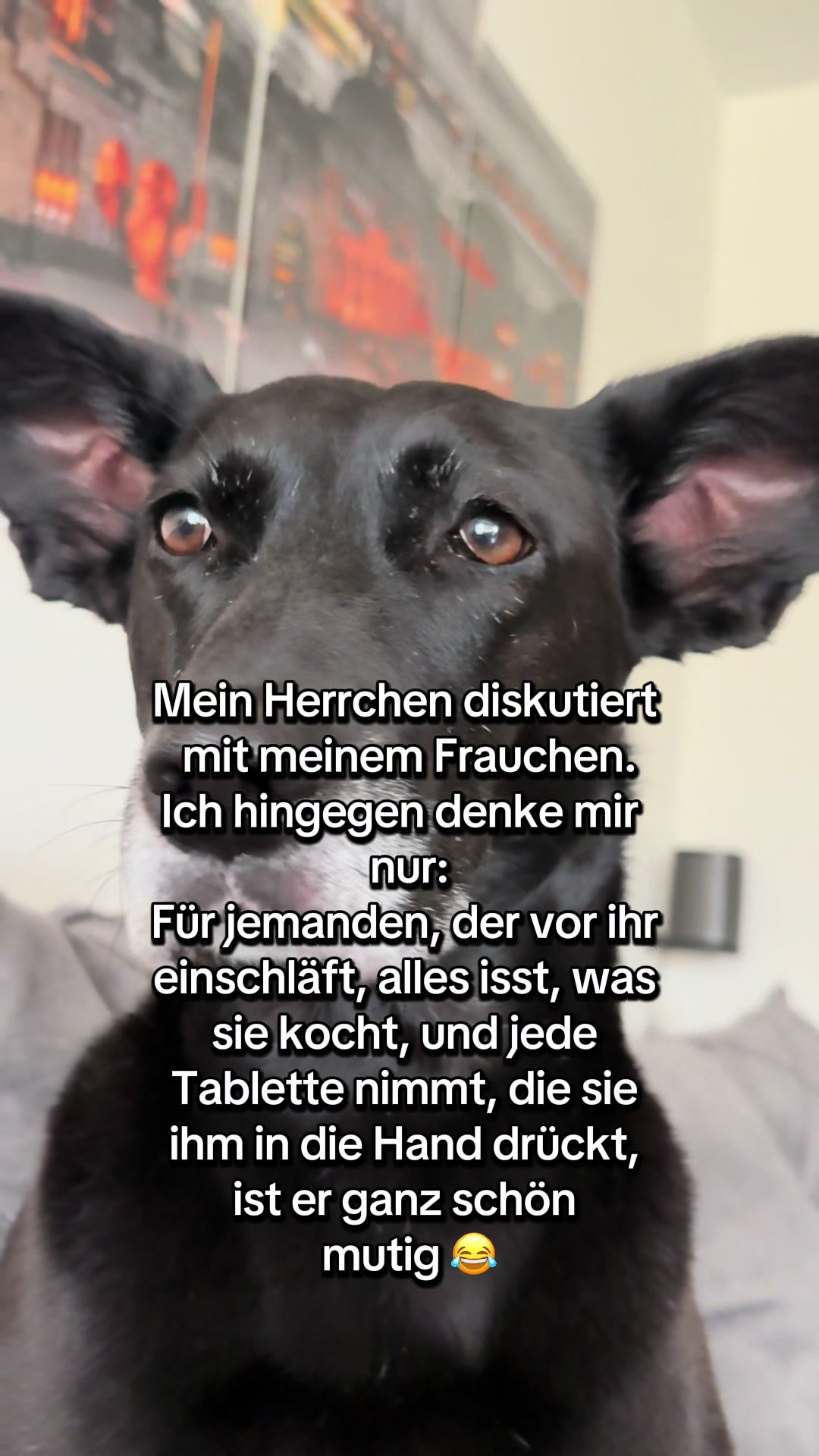 @BLACKY 🐶🐾