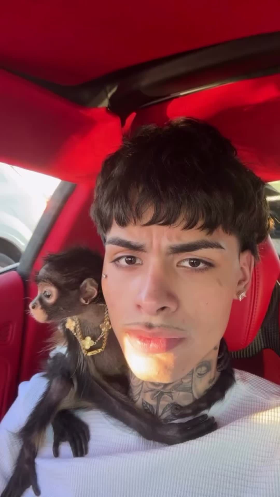 @lowbandxz
