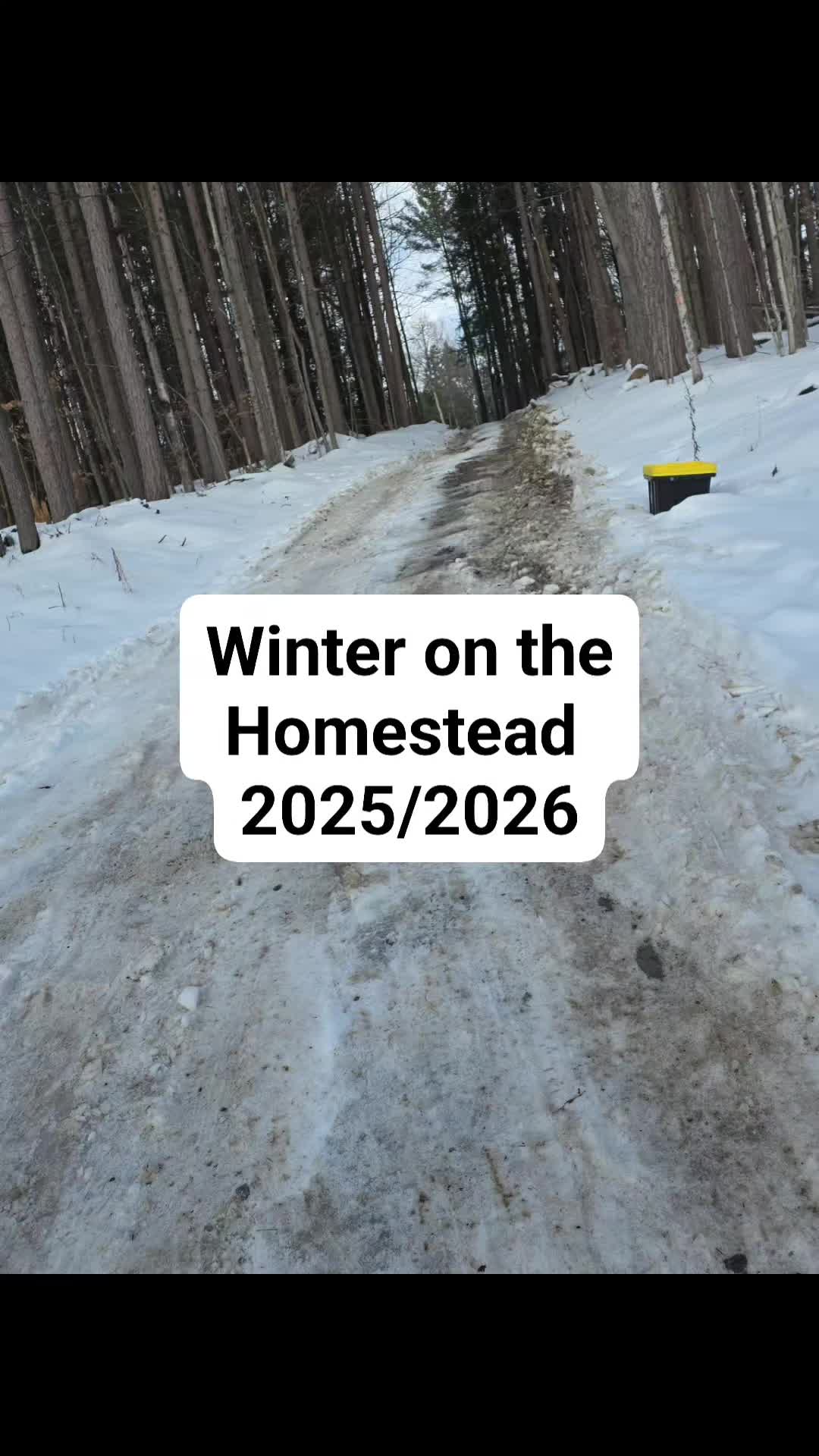 @Harmony Kai