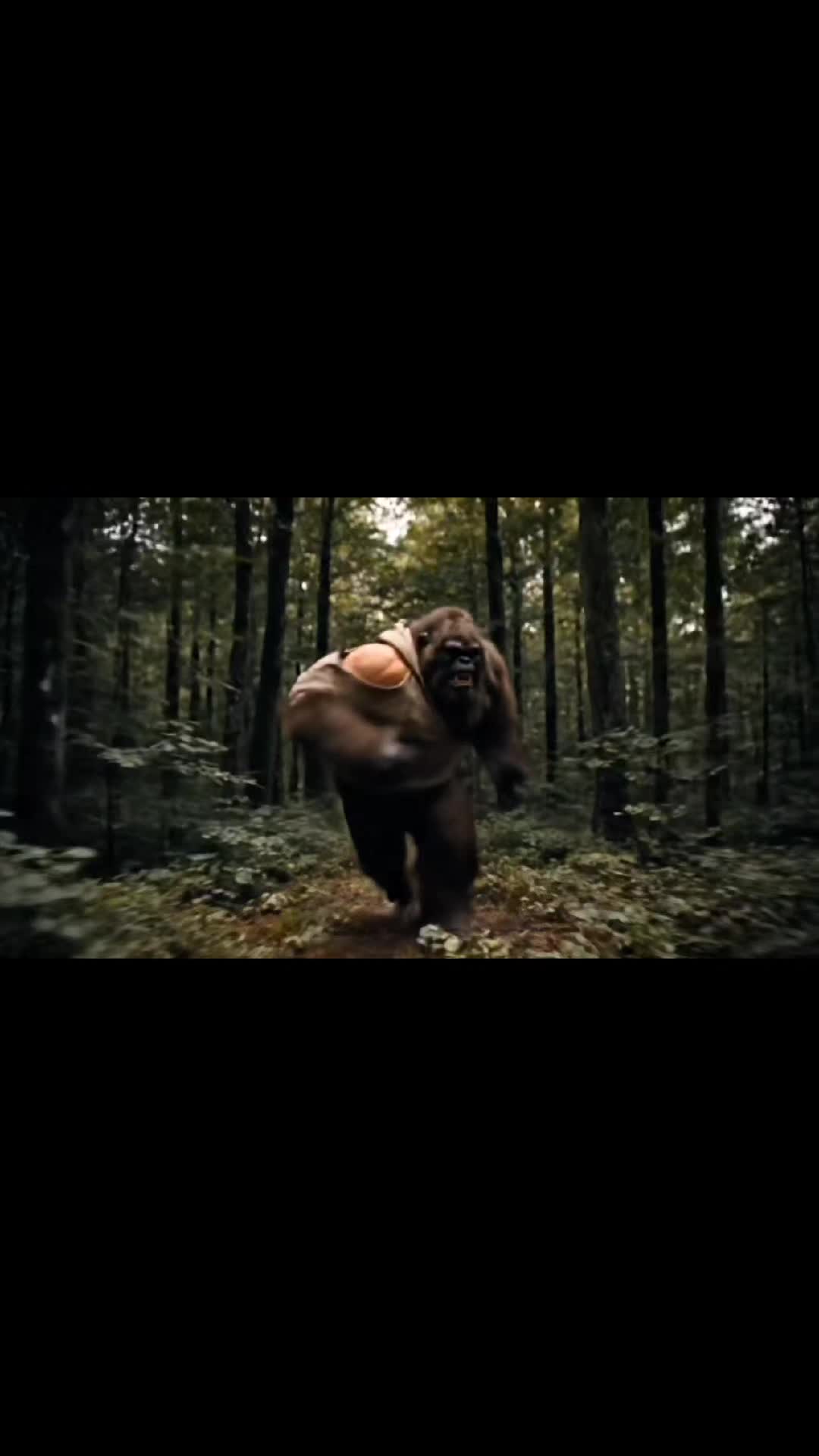@We