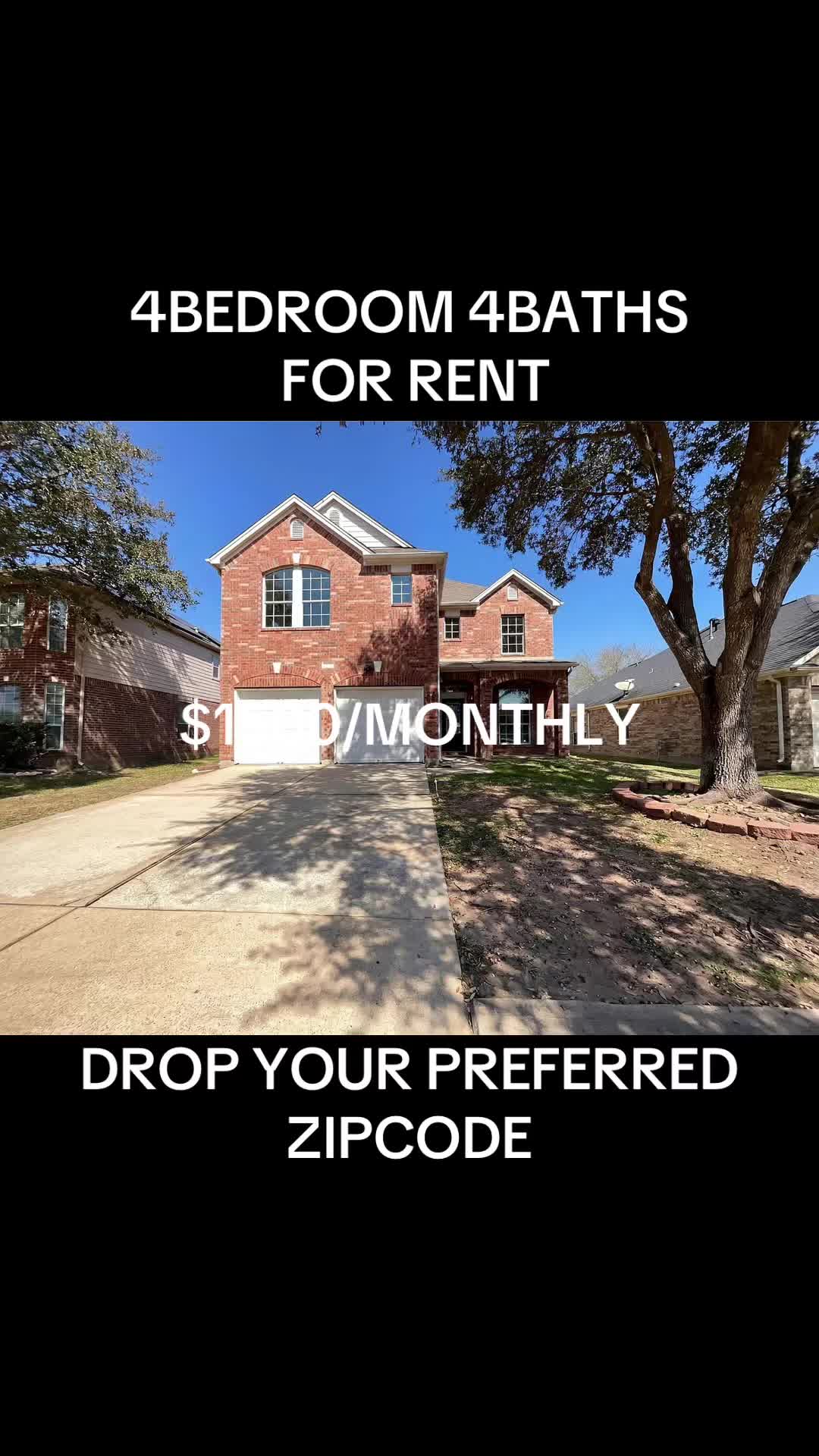 @Basil🏡