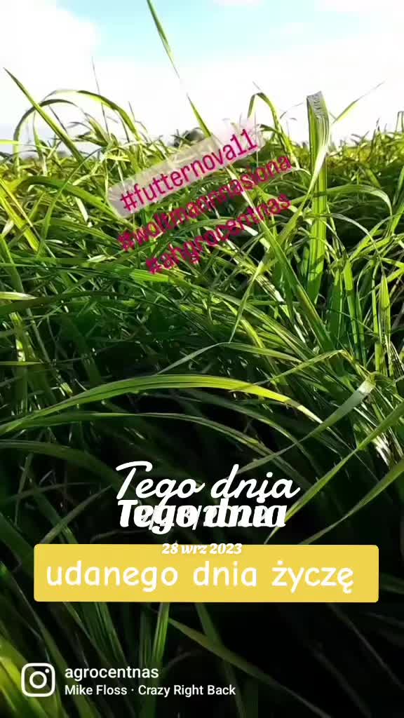 @WOLTMANNNASIONA