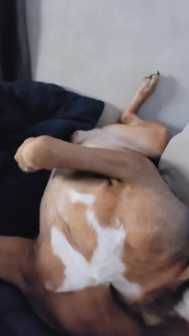 @Nikisha Marie