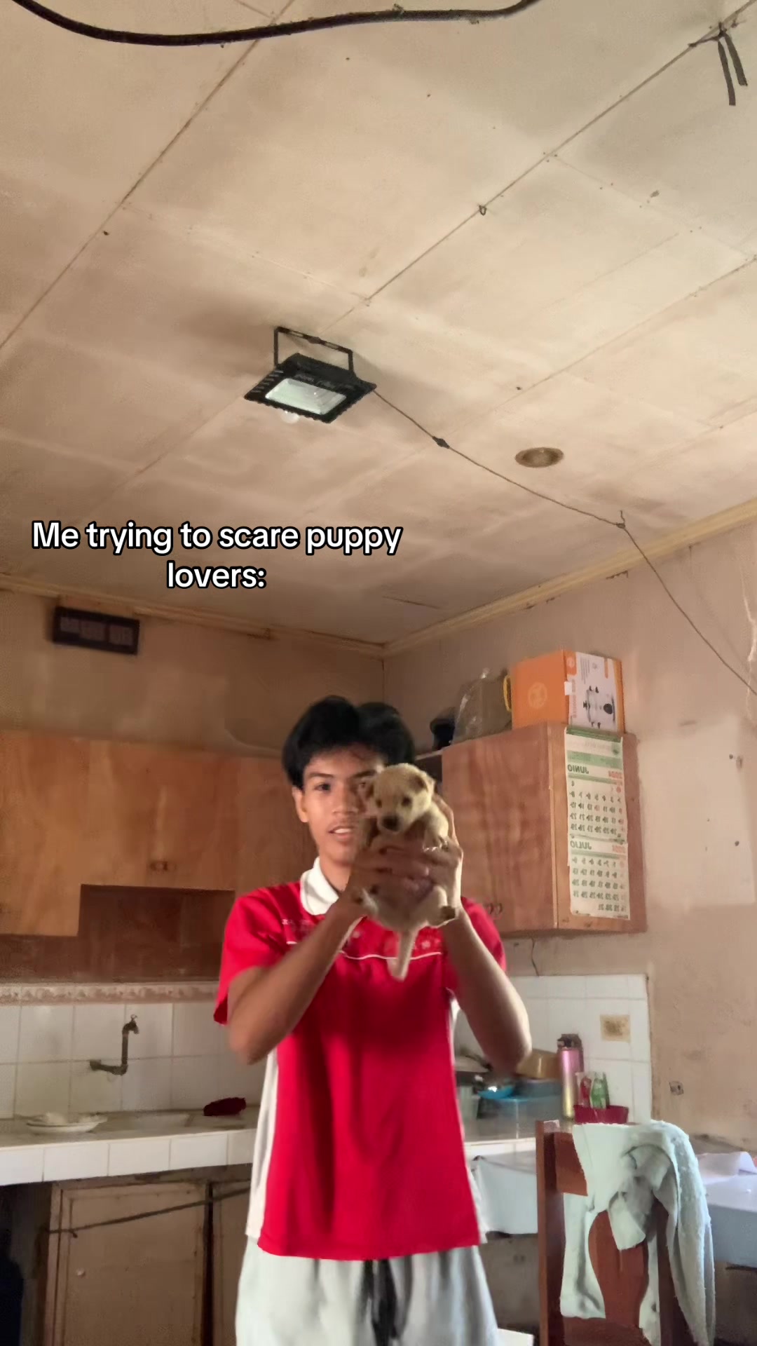 @Lhem
