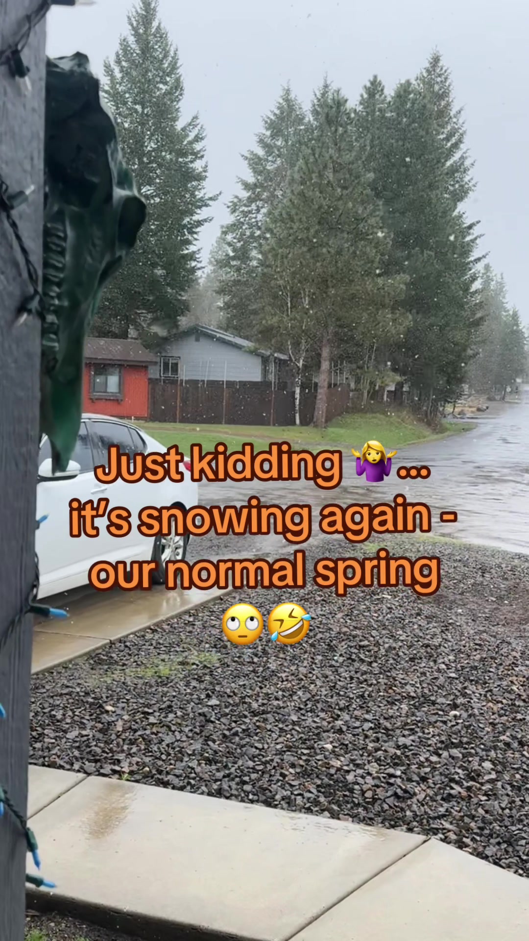 @🏔️Idaho Outdoors Brandi🌲🏔️