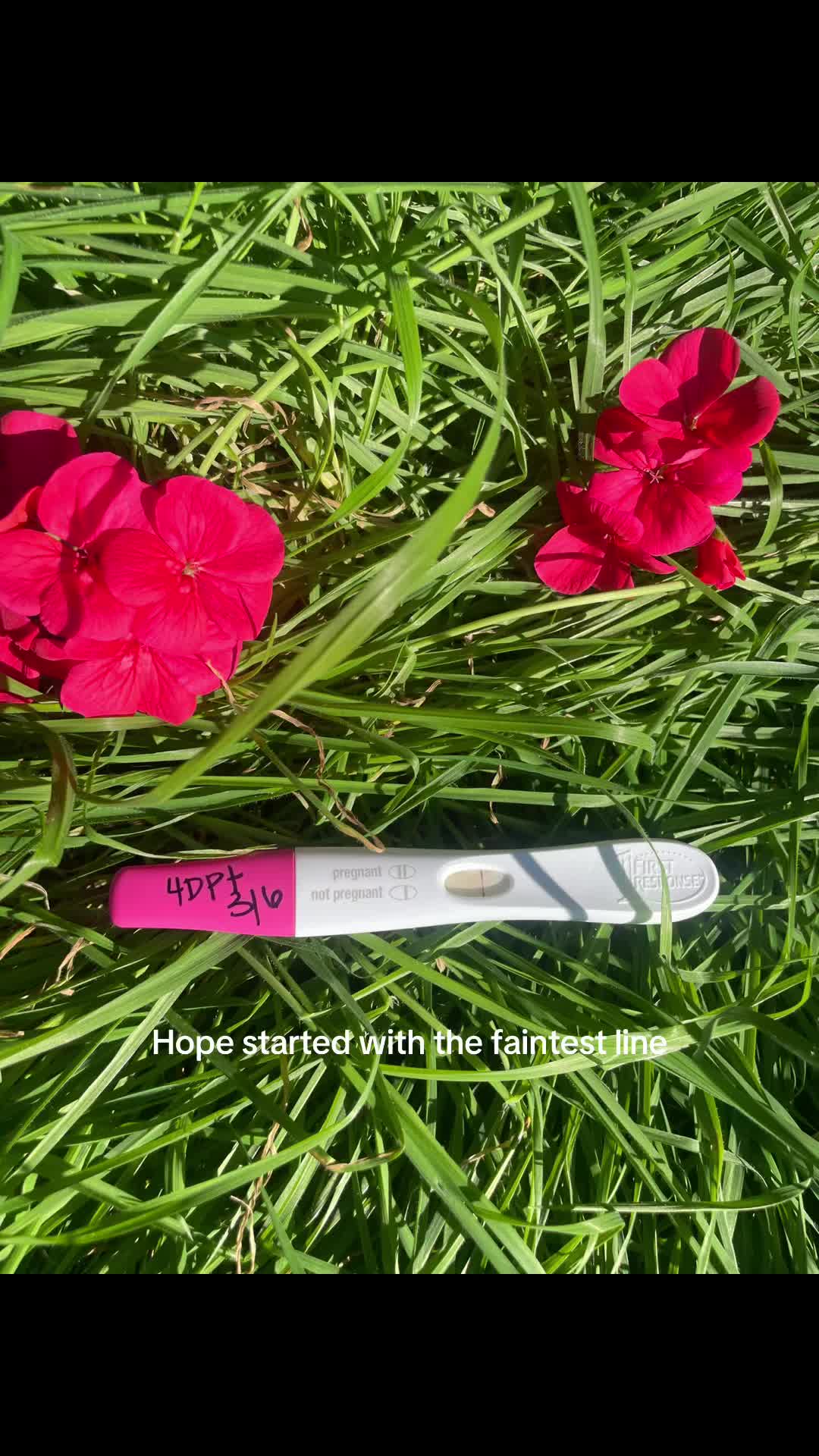 @Patricia | IVF Journey ๐ค๐