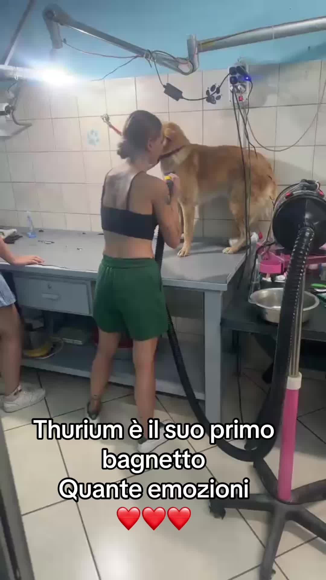 @Titty