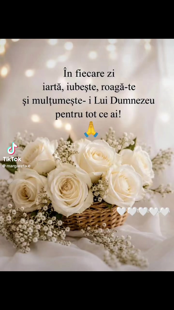 @Crina Lucia Ruja