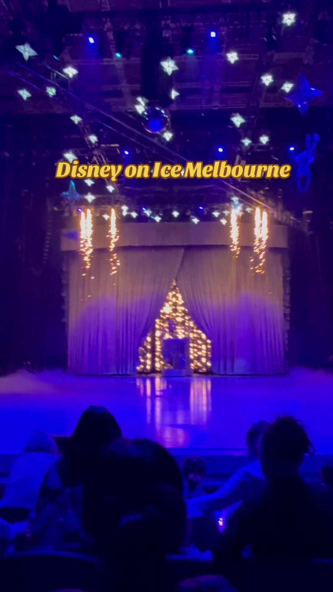 @Crazy_pooh_lady 🇦🇺