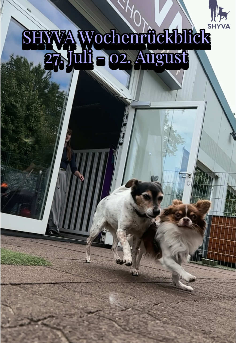 @Shyva Hundezentrum