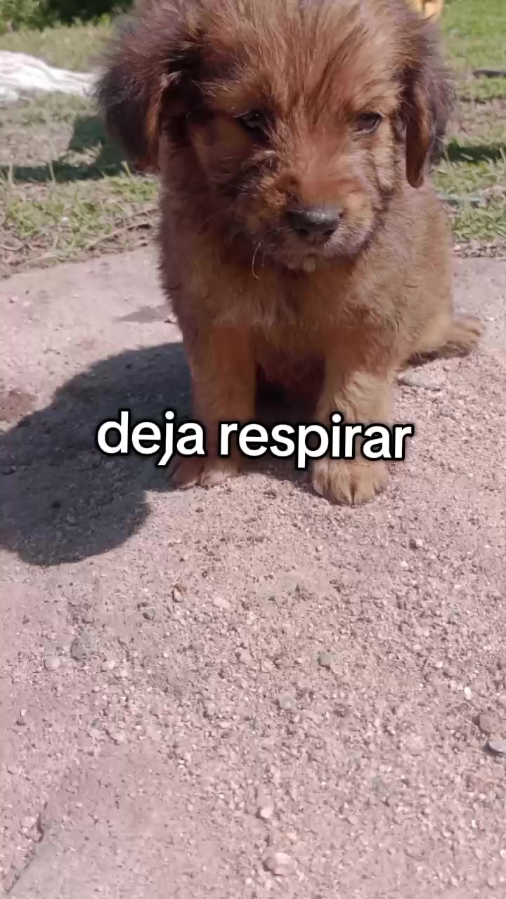 @★cris★_y_★oso★