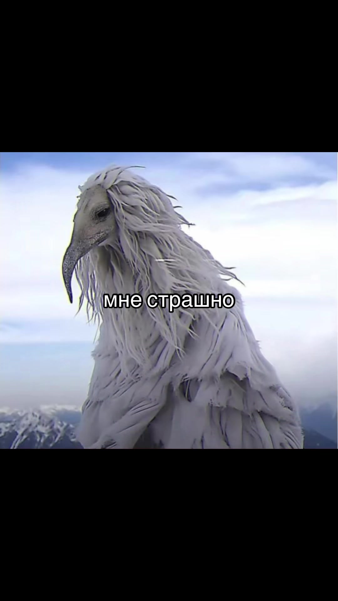 @варенiк