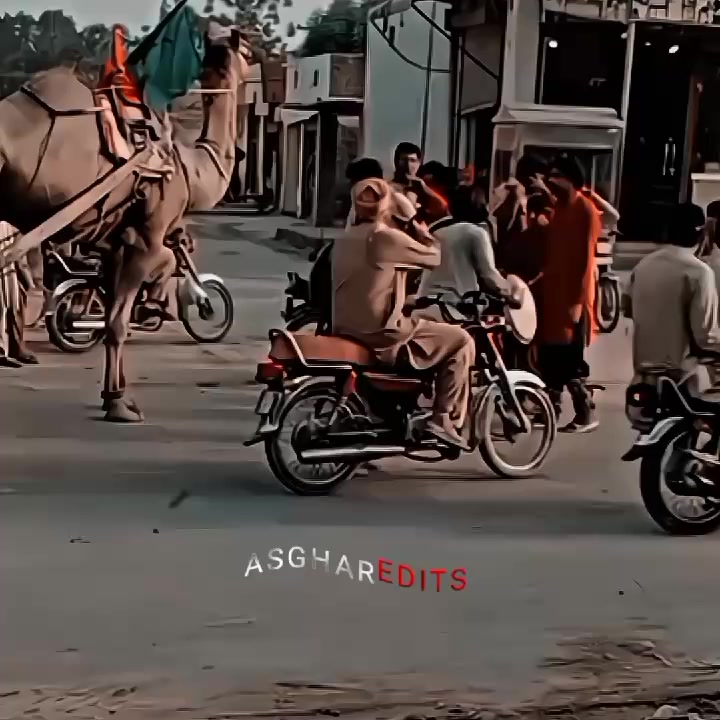 @ASGHAR 804🫡✌️