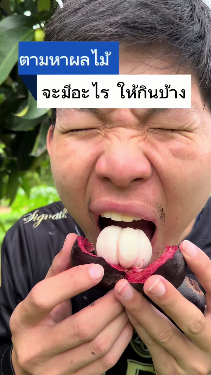 @ตั้นตะลุย (508k)