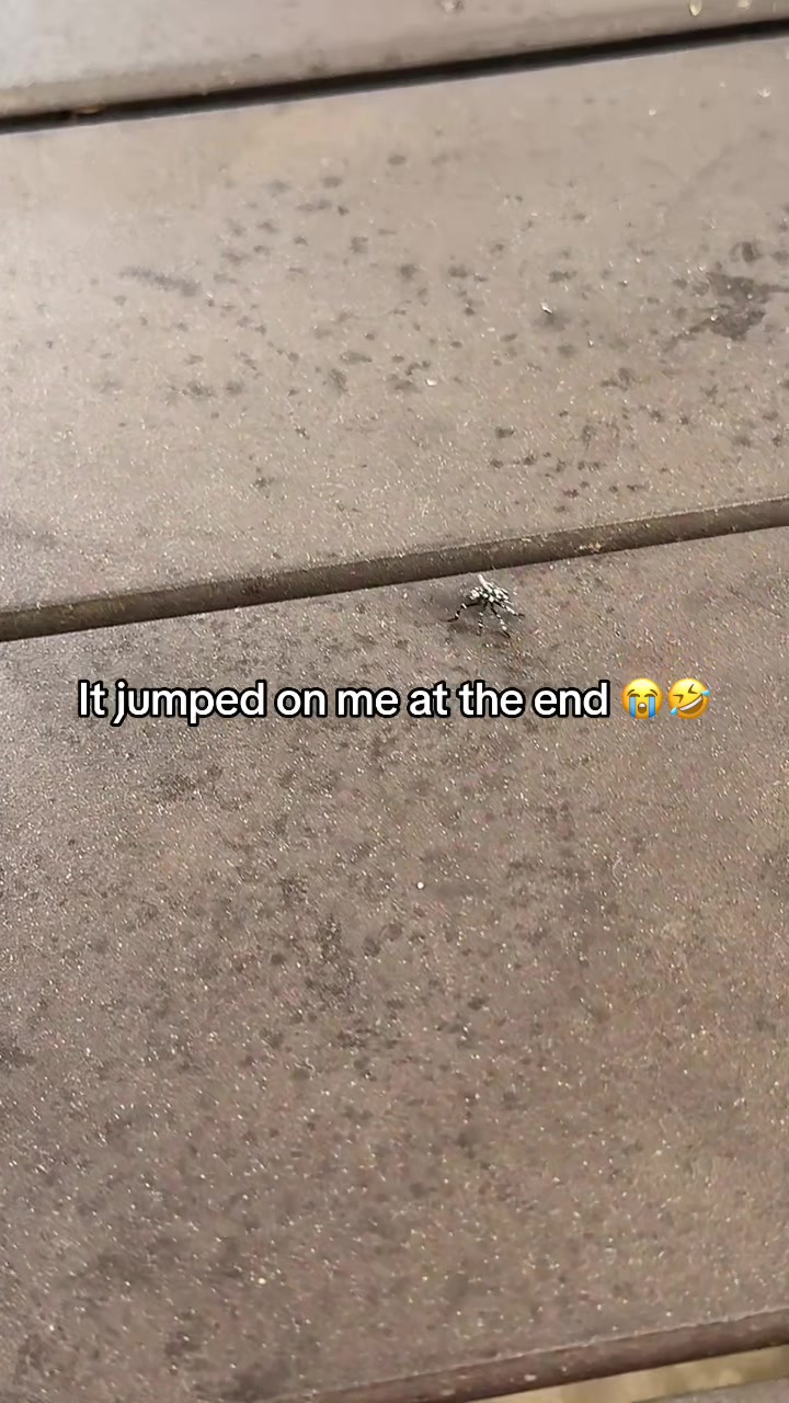 @carm_