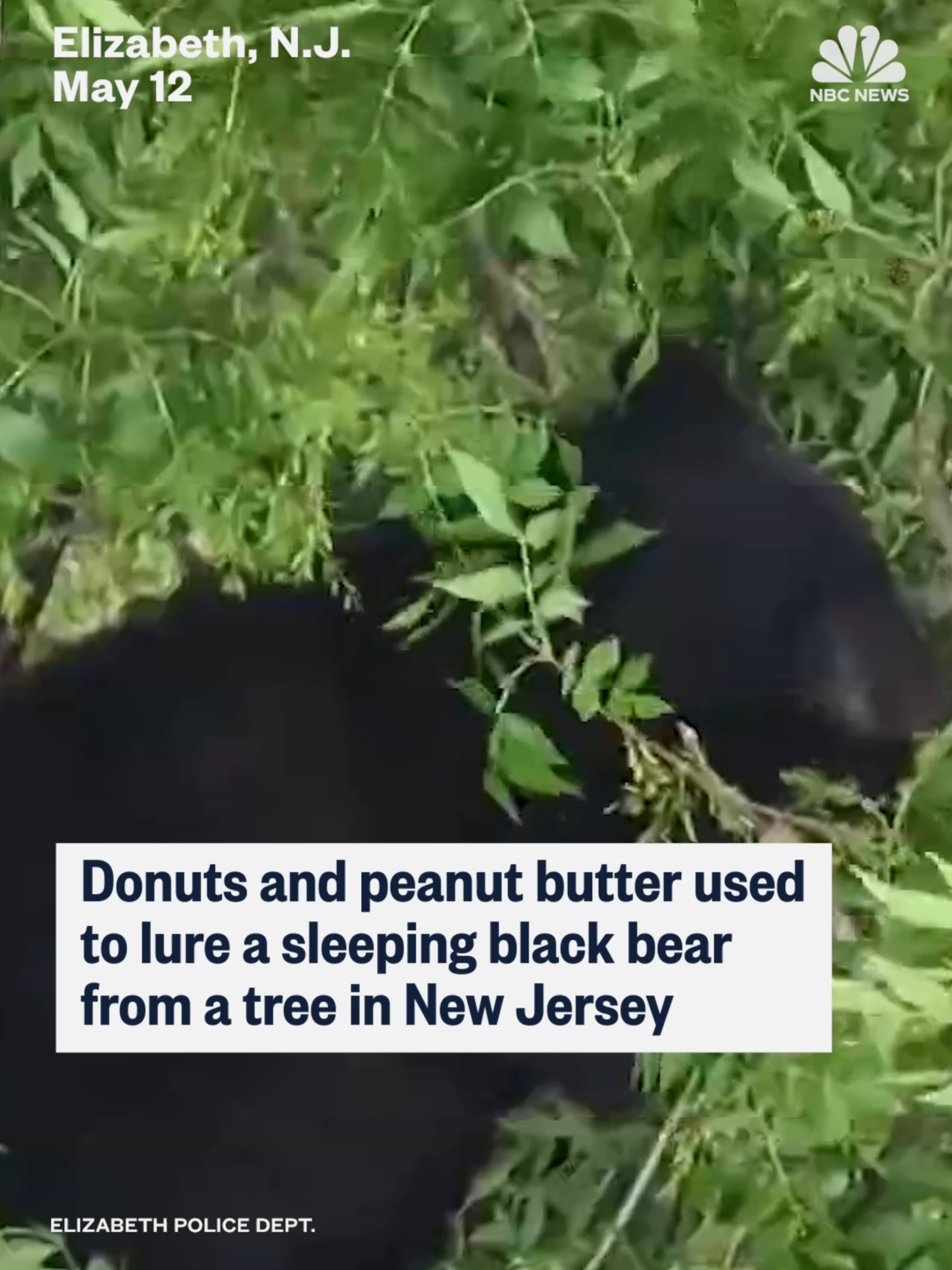 @nbcnews