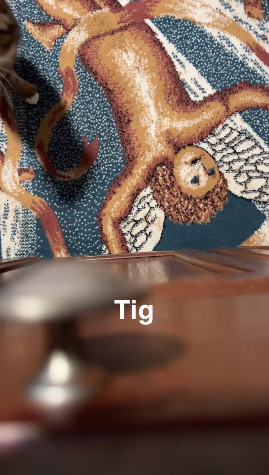 @Tiggy
