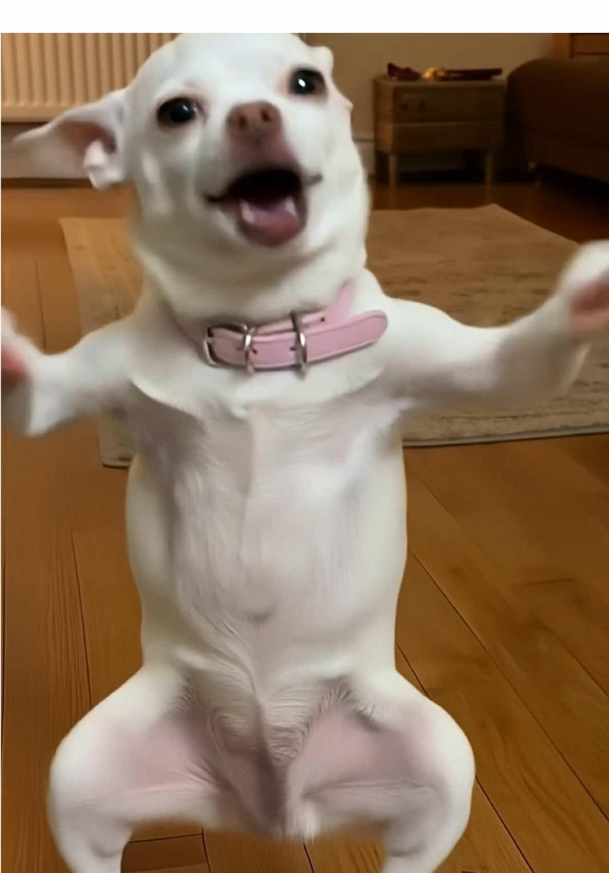 @mreviatar
