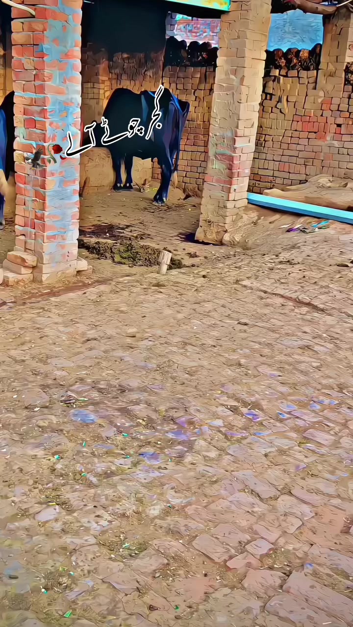 @GUJJAR🥷🏿