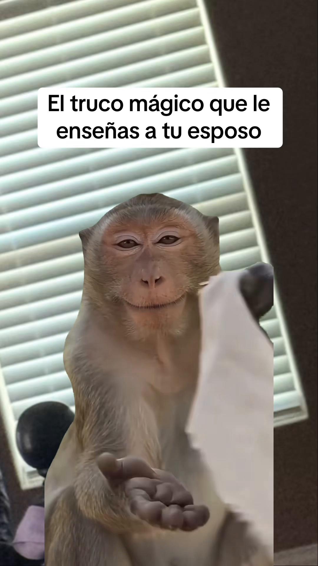 @Janet ❤️