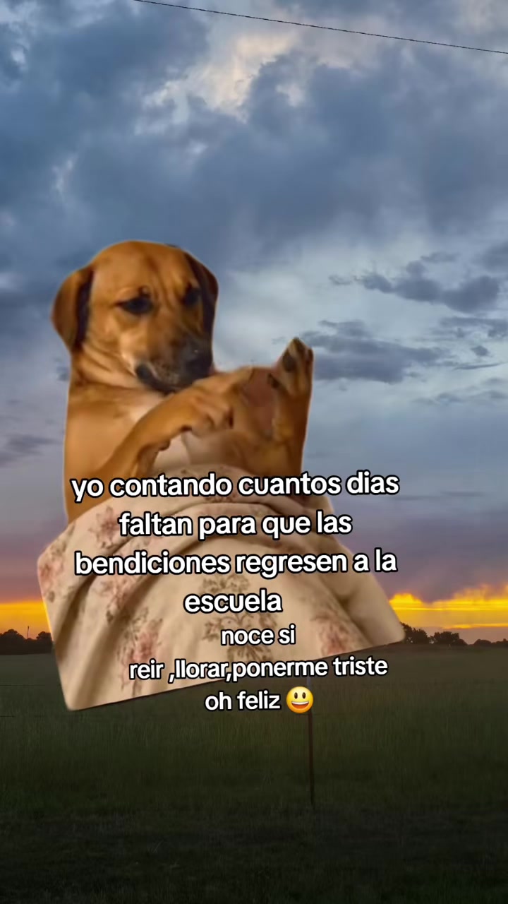 @la ni&ntilde;a de tus hojos 👧