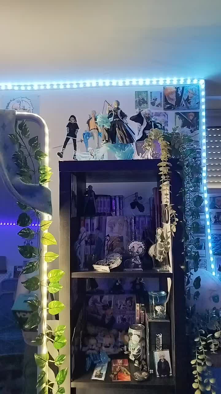 @Hitsugaya