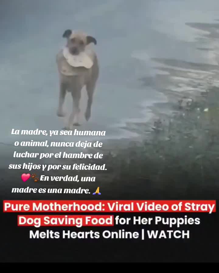 @Roxana Nunez