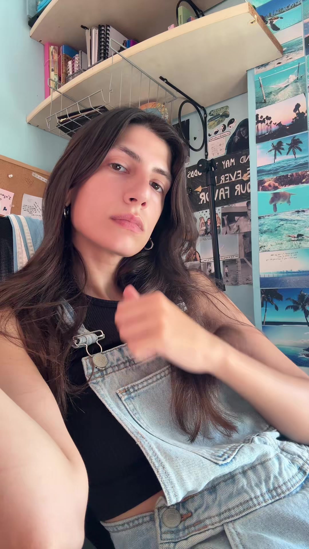 @aphvlogs