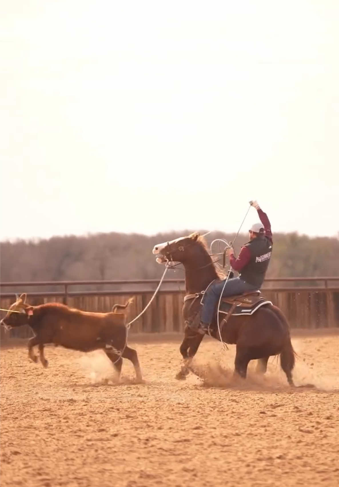 @Roping Dummies Texas