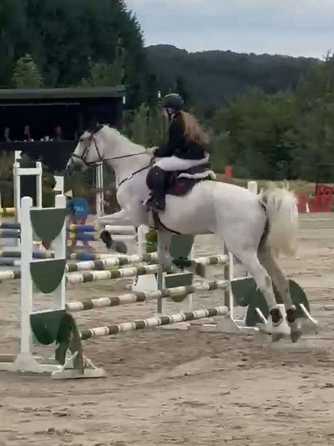 @Spring"Pony"Casha