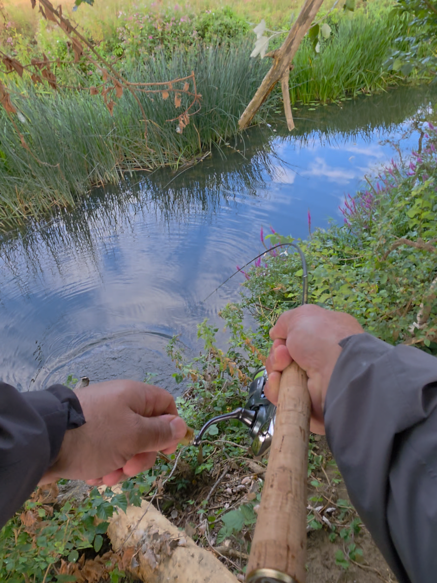 @BF Angler