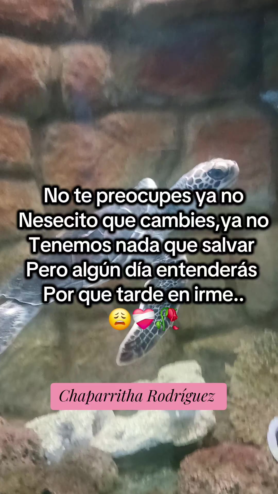 @Unha Thal Rodriiguez