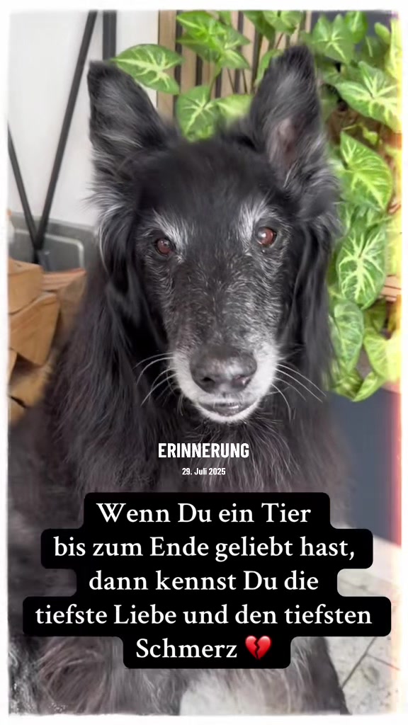 @Ulla & Dior & Escada