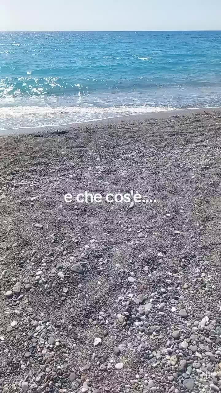 @Rosa Covino