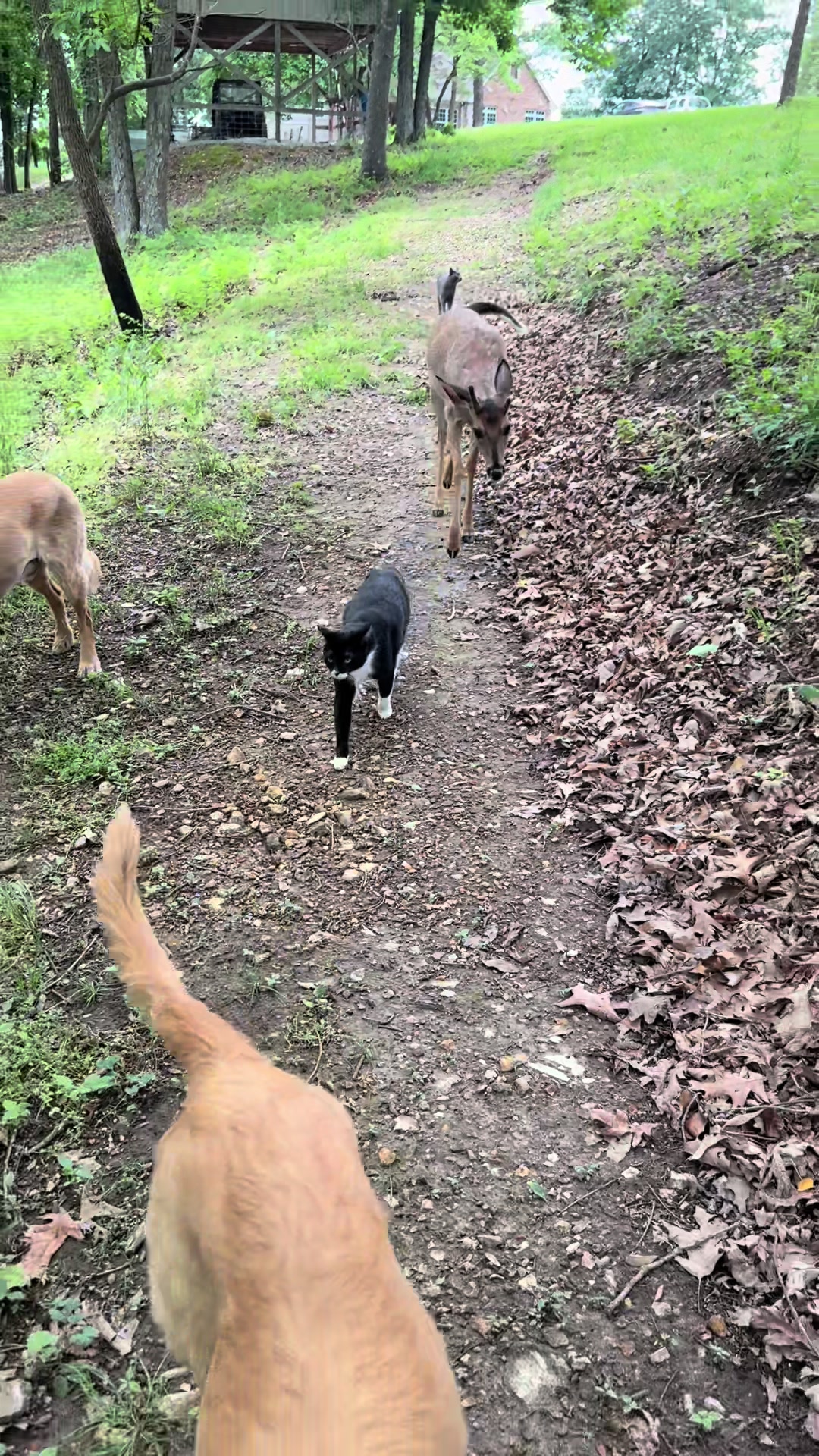 @Brownhikingtrails