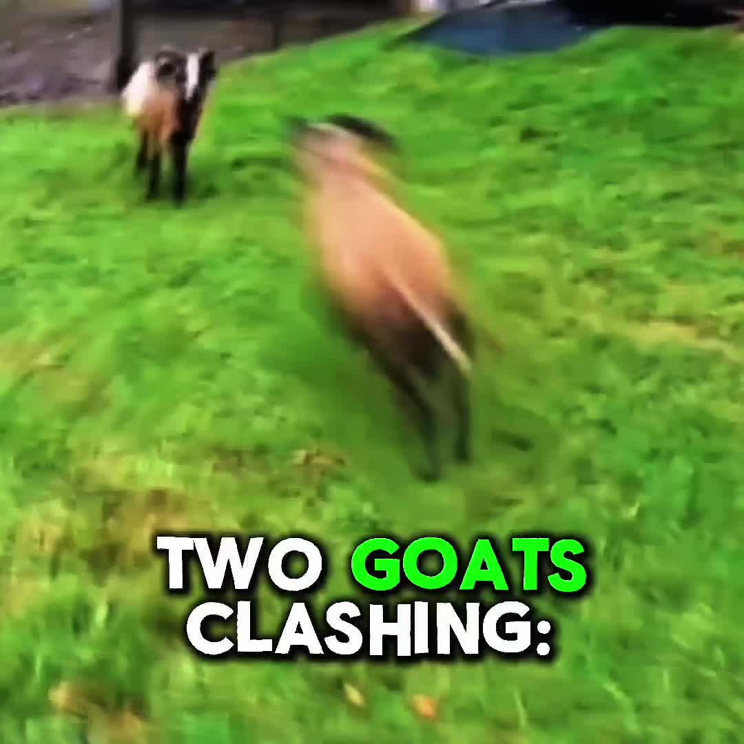 @𝐀𝐓𝐇𝐄𝐍𝐀