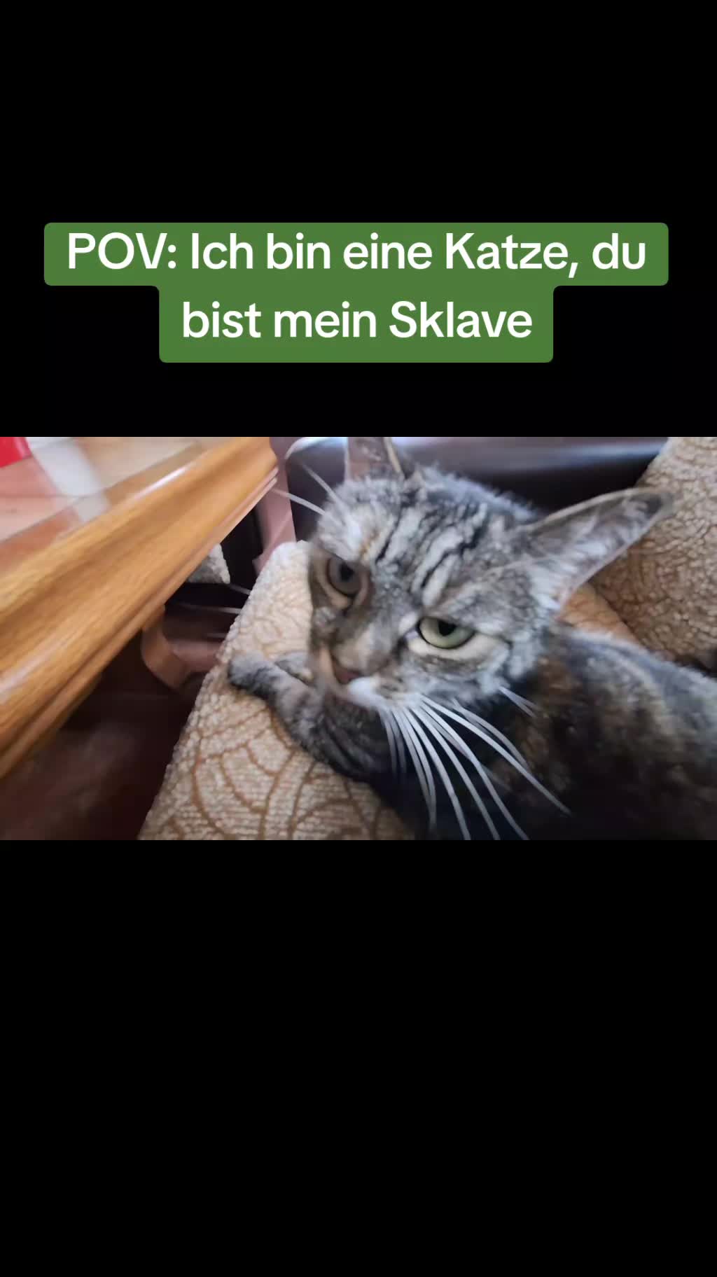 @Susi & der Dosen&ouml;ffner 🤔🤣