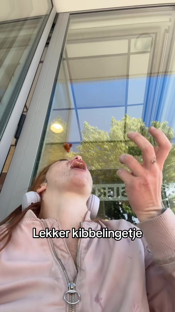 @Nikki 🐯🩷