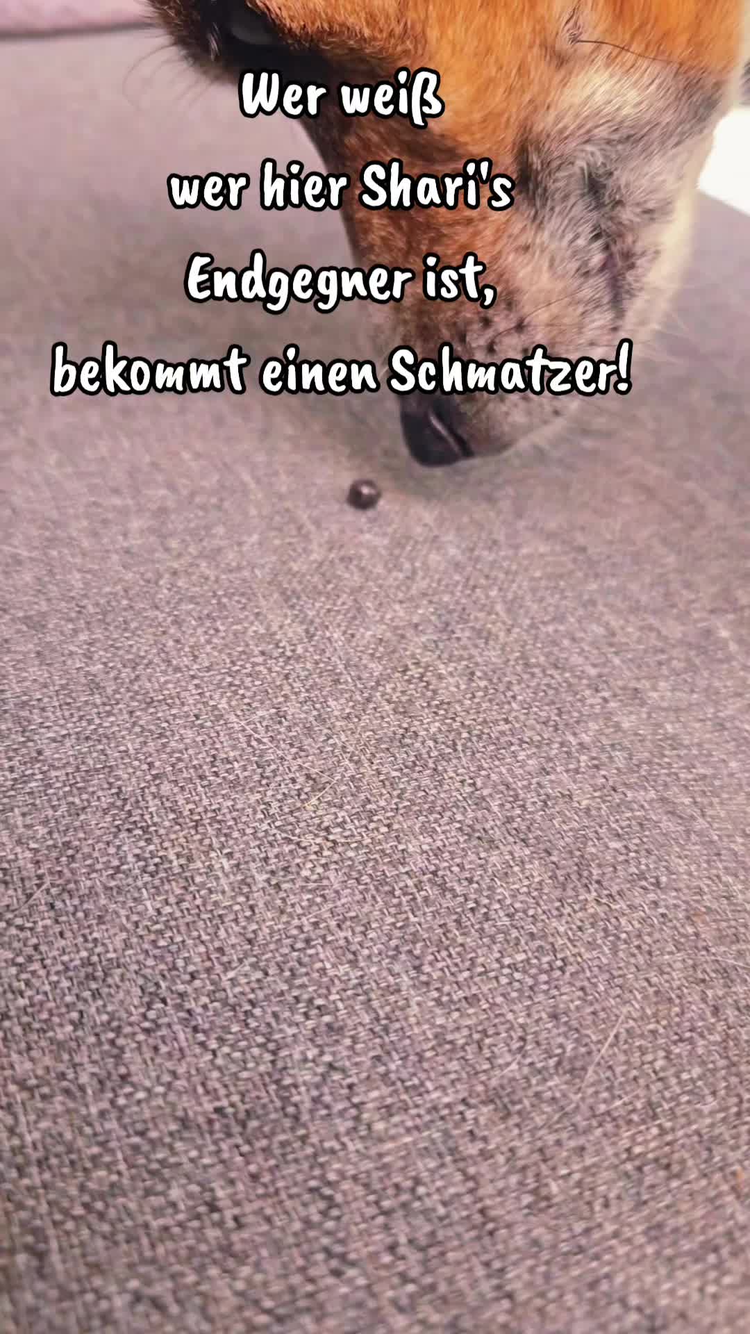 @Shari's wunderbare Welt