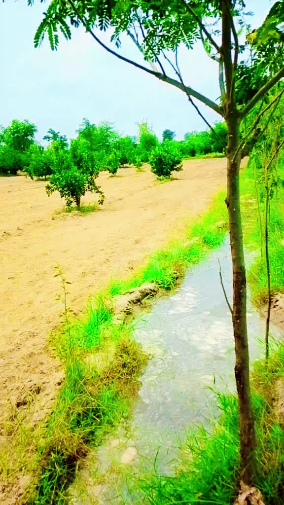 @sohailpanwar