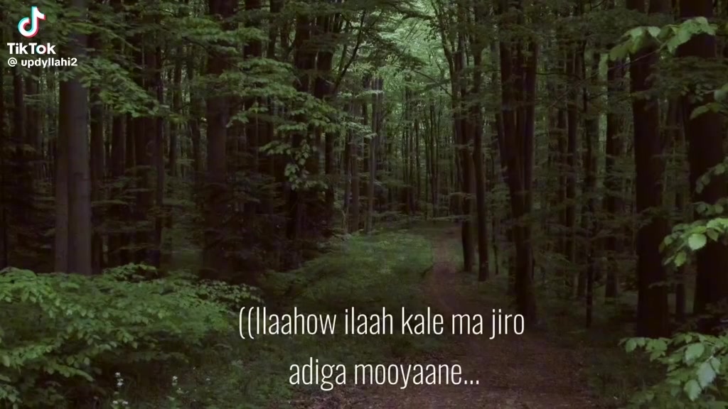 @Gooni Joog