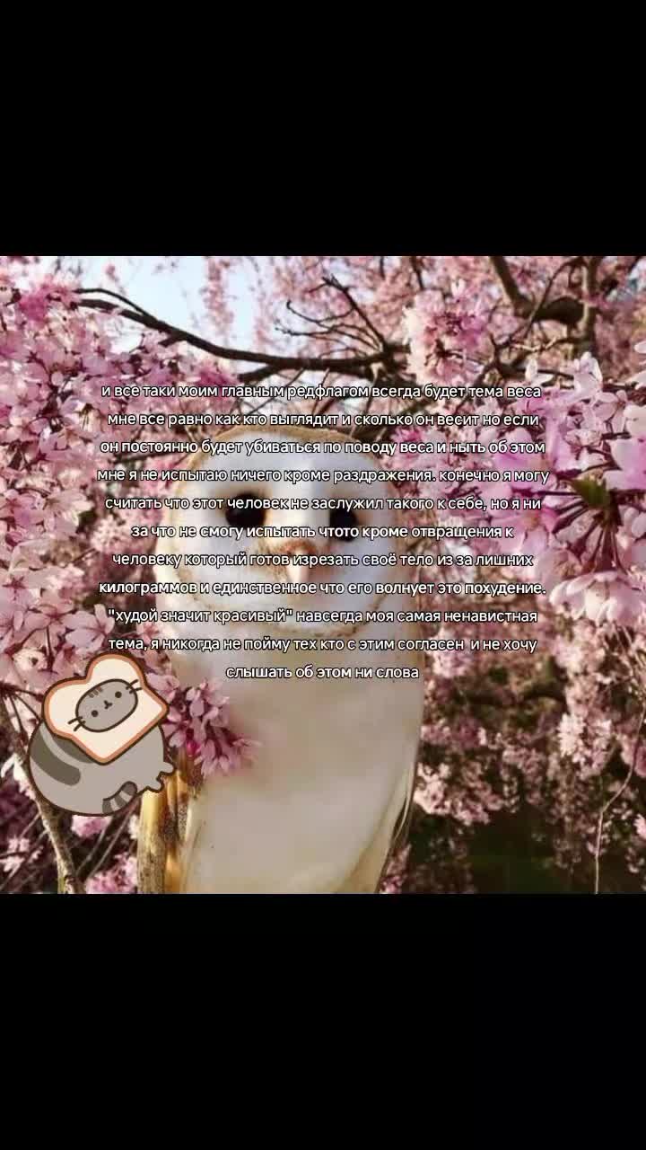 @тайлер сочный