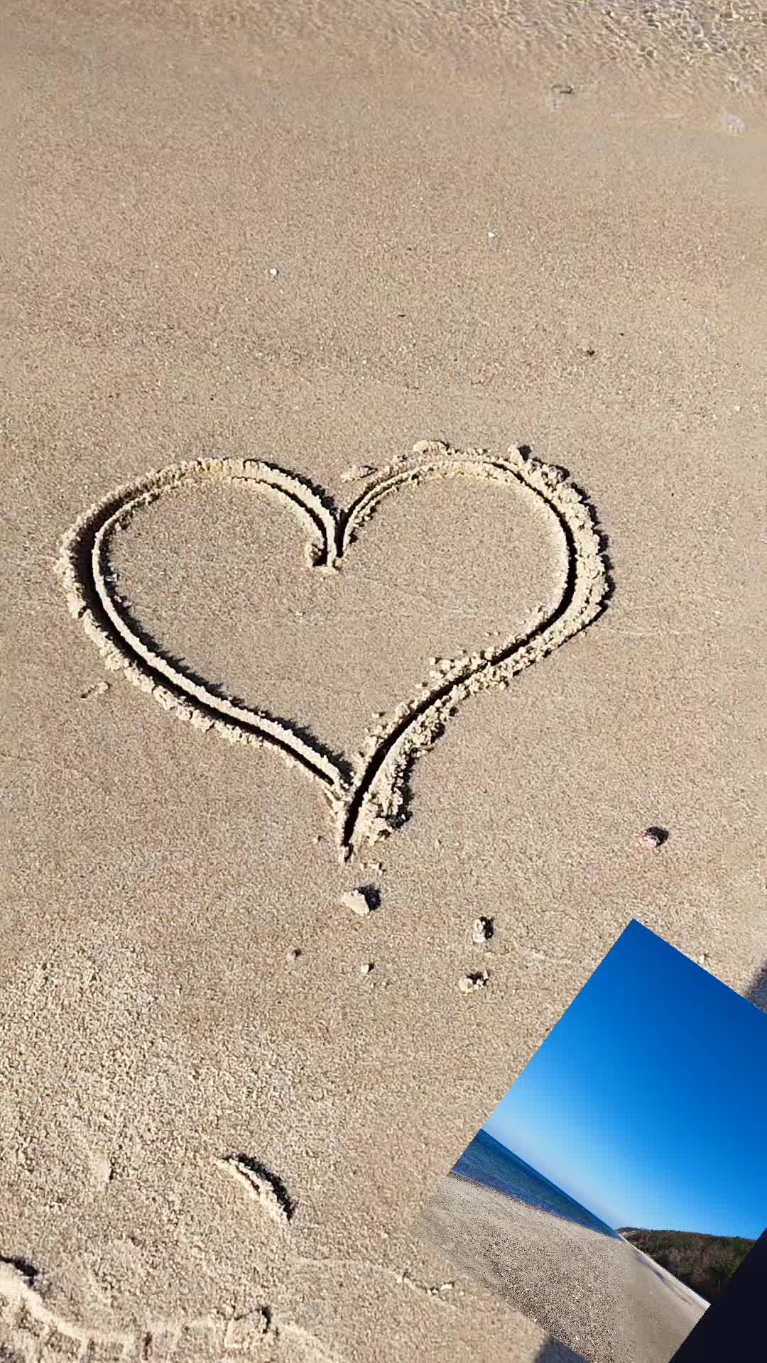 @sylwiaosinska873